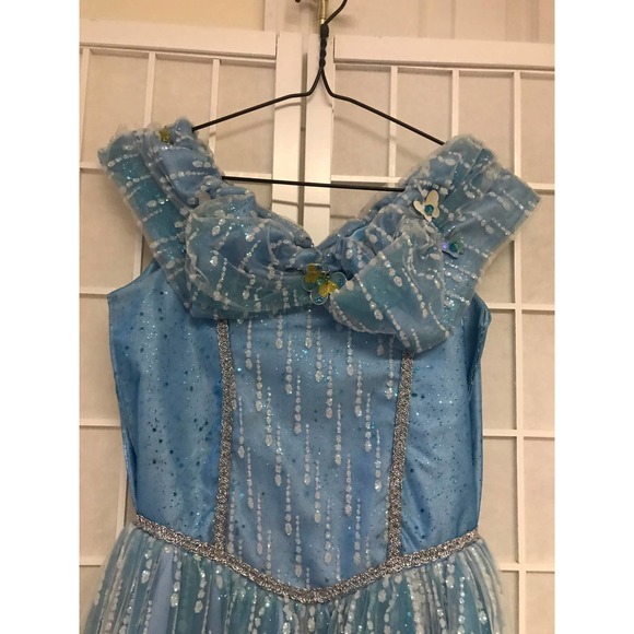 Custom Cinderella Dress Costume - Picture 2 of 4